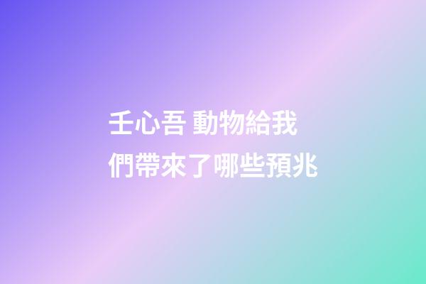 壬心吾 動物給我們帶來了哪些預兆